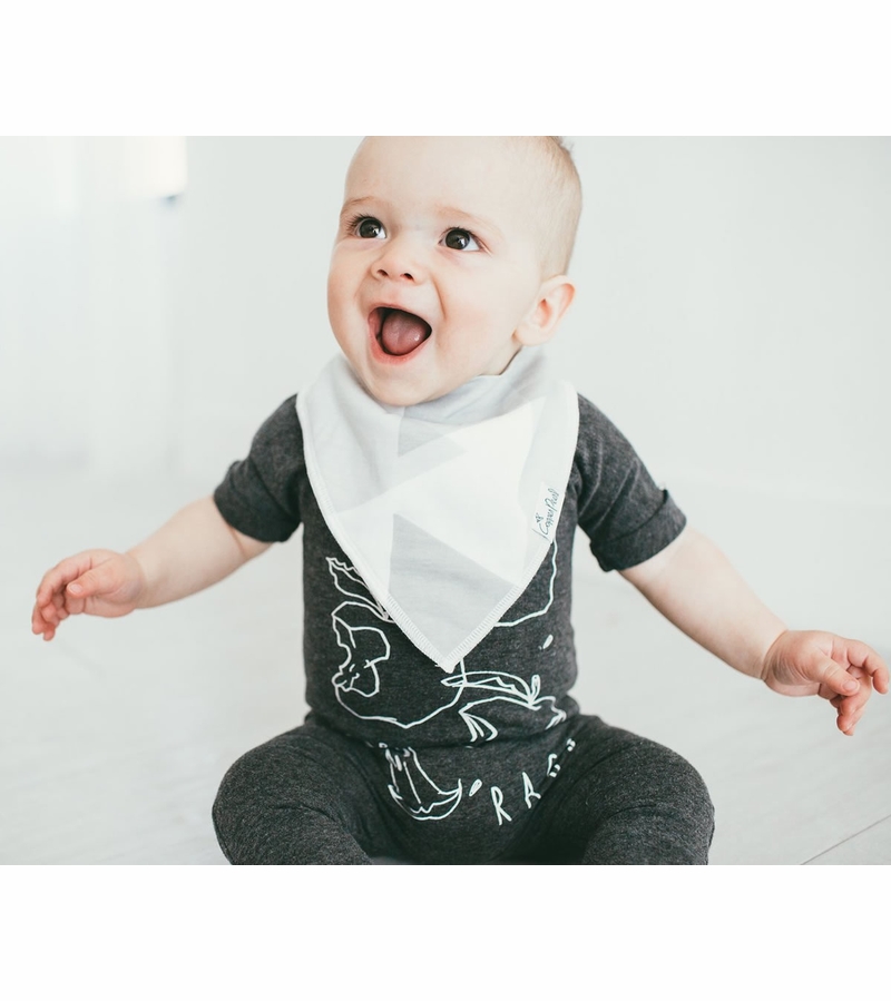 Copper Pearl Baby Bandana Bibs, 4 Pack Wild