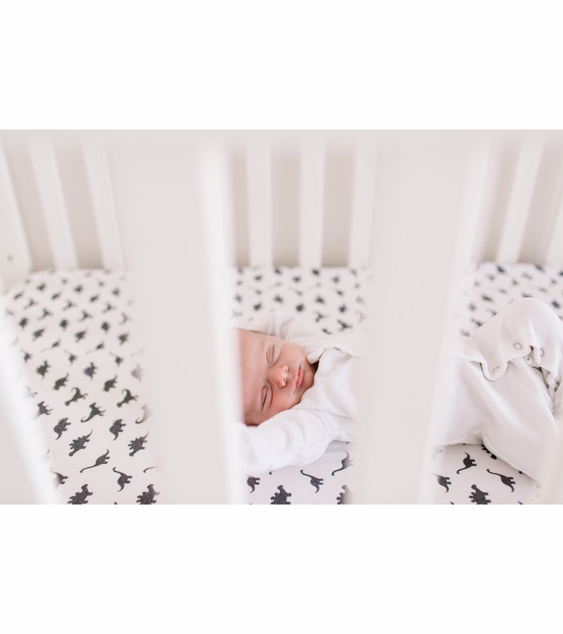 Copper Pearl Premium Fitted Crib Sheet Wild