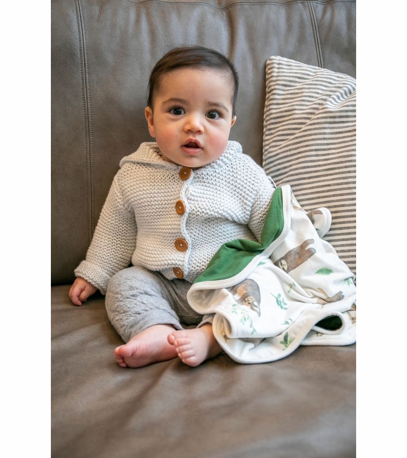 Copper Pearl Security Blanket, 2 Pack Noah