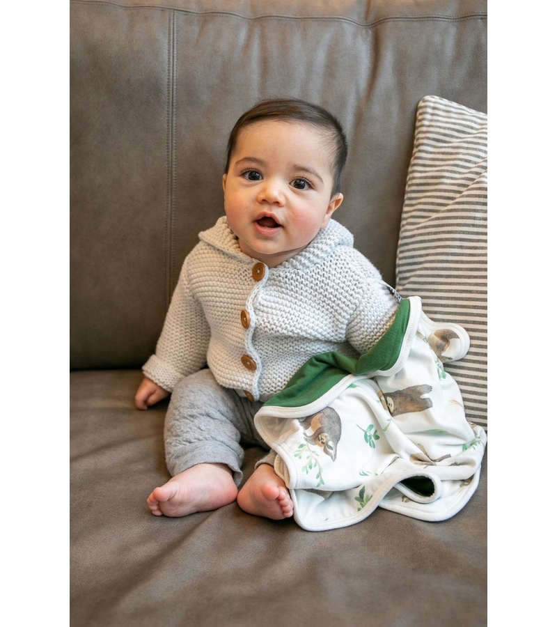 Copper Pearl Security Blanket, 2 Pack Noah