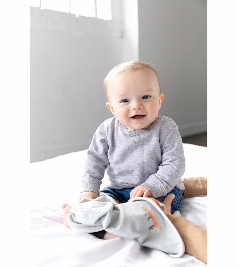 Copper Pearl Security Blanket, 2 Pack Swift