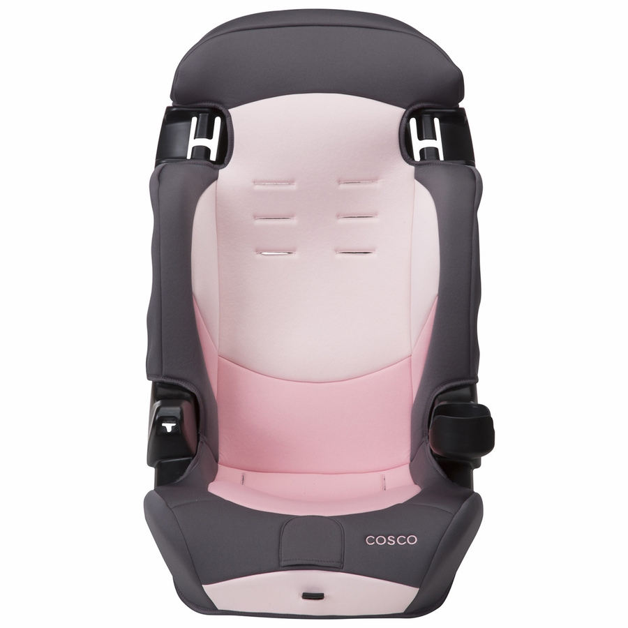 Cosco Finale DX 2in1 Harness Booster Car Seat Sweetberry