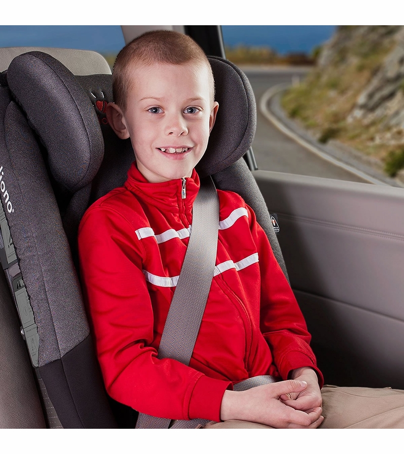 Diono Radian RXT Convertible + Booster Car Seat Black Plaid