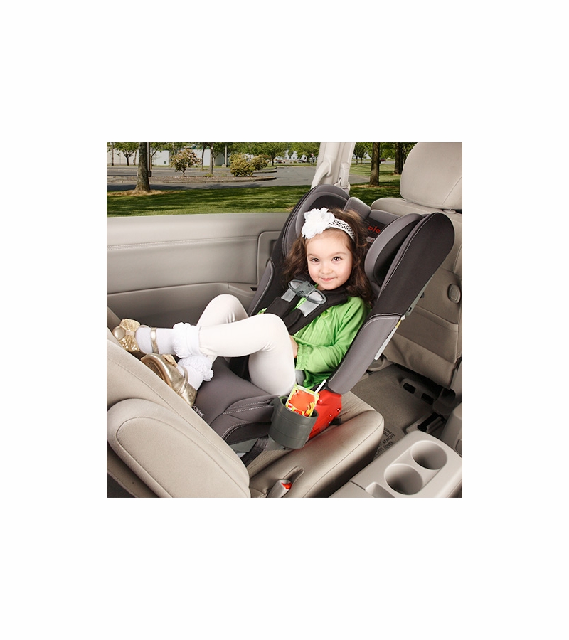 Diono Rainier AllInOne Convertible Car Seat Orchid