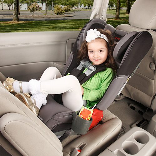 Diono Rainier AllInOne Convertible Car Seat Orchid