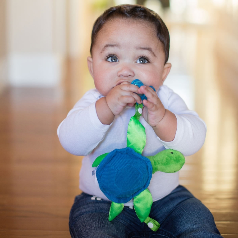 Dr. Brown's Timmy the Turtle Lovey Pacifier & Teether Holder