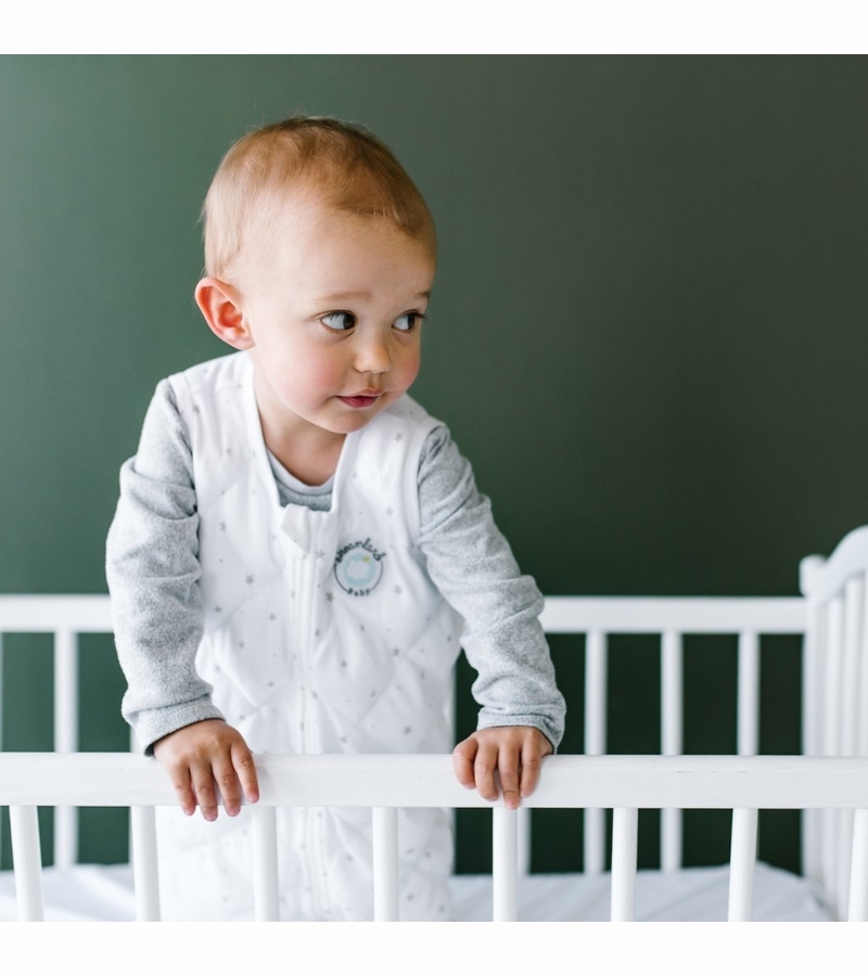 Dreamland Baby Dream Weighted Sleep Sack, 1224 months