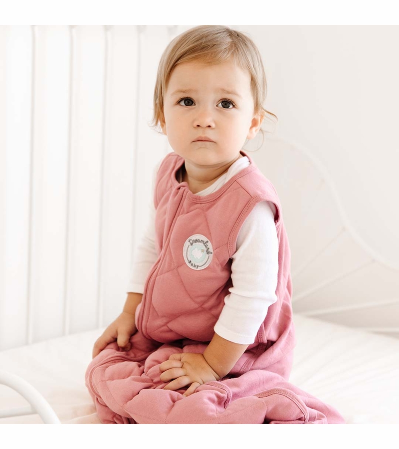 Dreamland Baby Dream Weighted Sleep Sack Dusty Rose, 612 months