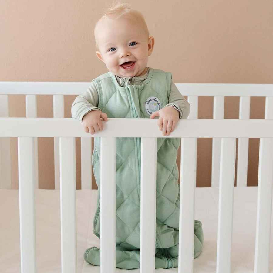 Dreamland Baby Dream Weighted Sleep Sack Sage Green, 612 months