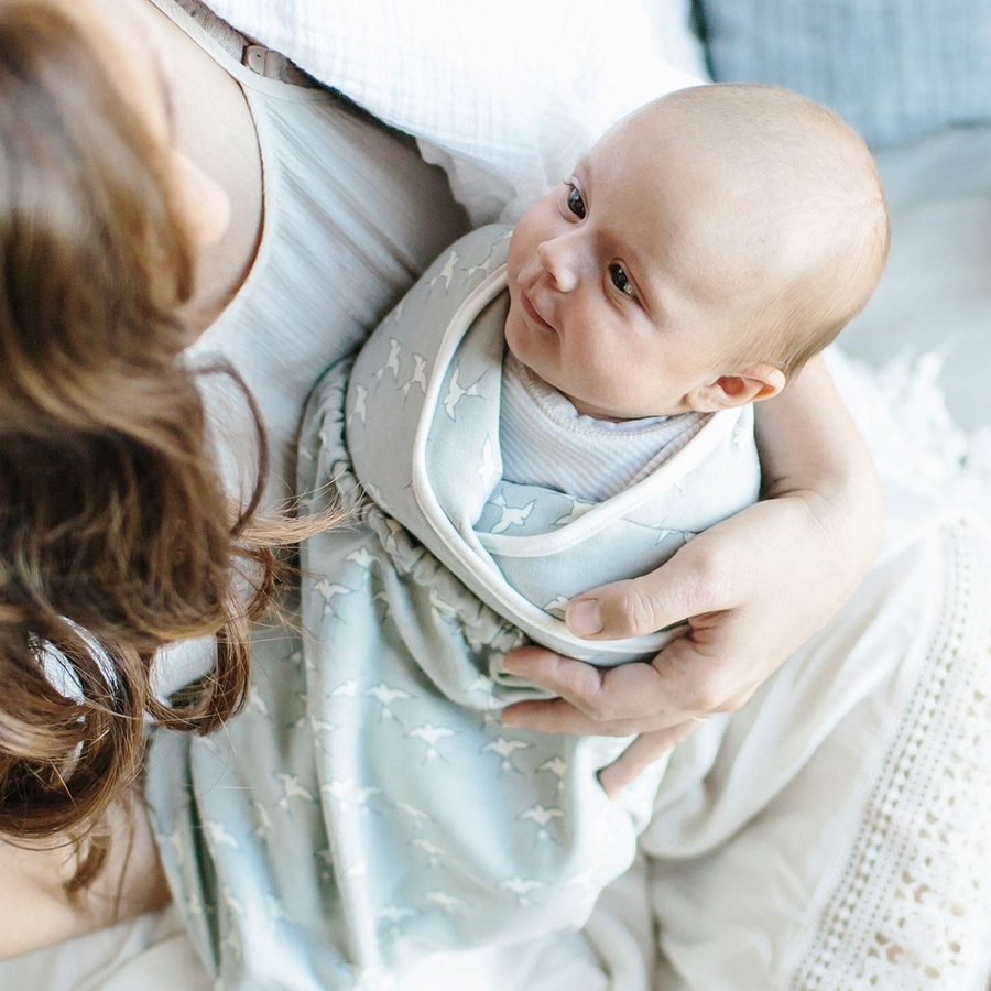 Ergobaby Original Swaddler Sparrow