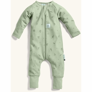 ergoPouch Layers Long Sleeve Romper 1.0 TOG - Willow, 3-6 Months