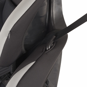 Image Thumbnail 5