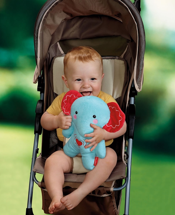 FisherPrice Calming Vibrations Baby Soother