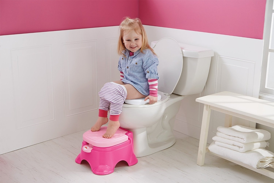 FisherPrice Pink Princess Stepstool Potty