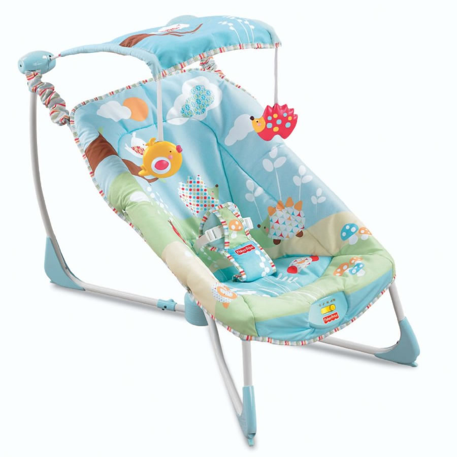 FisherPrice Soothe & Go Bouncy Seat