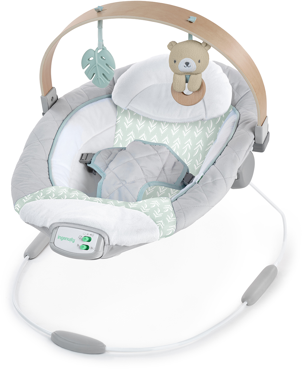 Cozy Spot Soothing Bouncer