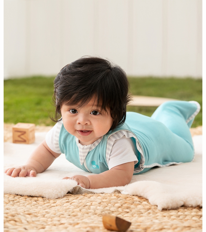 Love To Dream Swaddle UP Transition Bag Ecovero Moderate, Large Marine