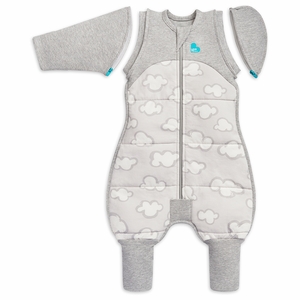 Love To Dream Swaddle UP Transition Suit Quilted Cotton 2.5 TOG, X-Large - Daydream Grey