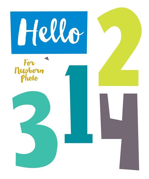 Lucy Darling Monthly Stickers - Little Number Cruncher