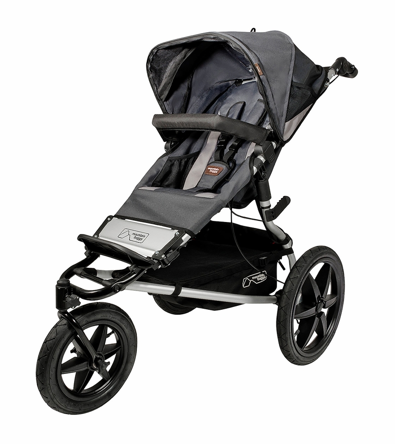 Mountain Buggy Terrain Stroller Flint