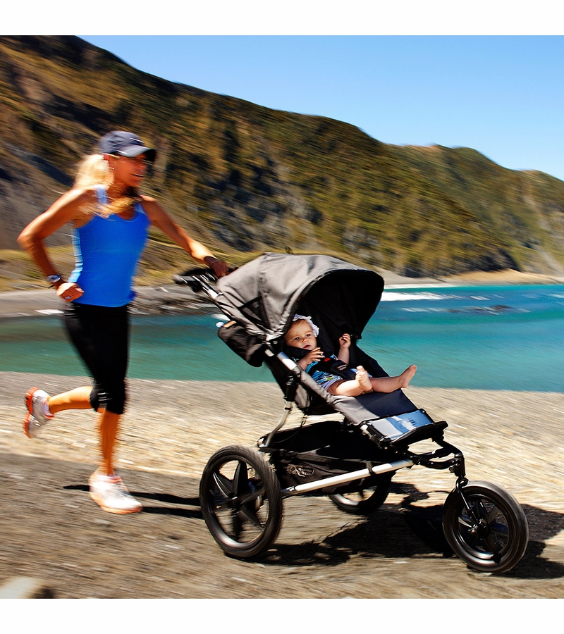 Mountain Buggy Terrain Stroller Flint