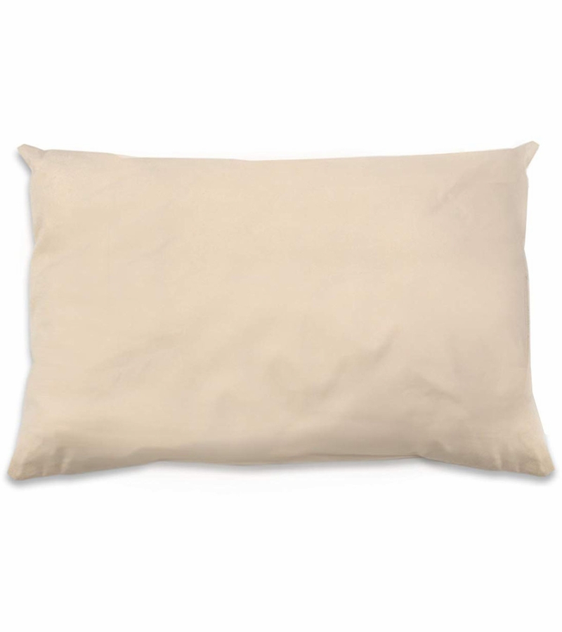 Naturepedic Organic Cotton Pillows in Toddler Size