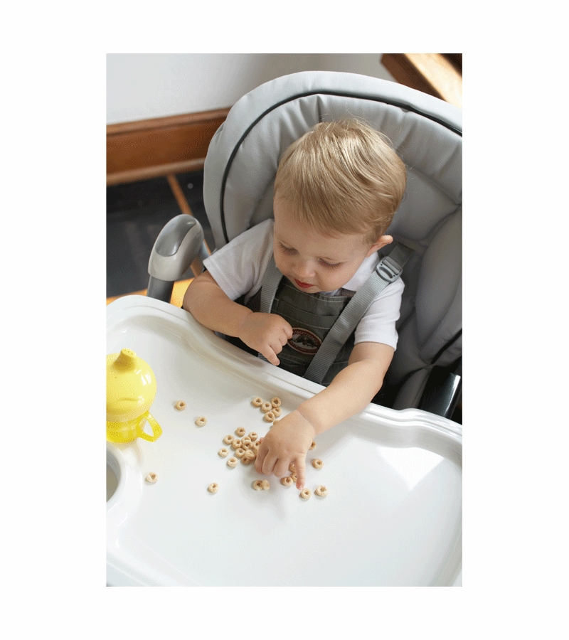 Peg Perego Prima Pappa Best High Chair in Paloma