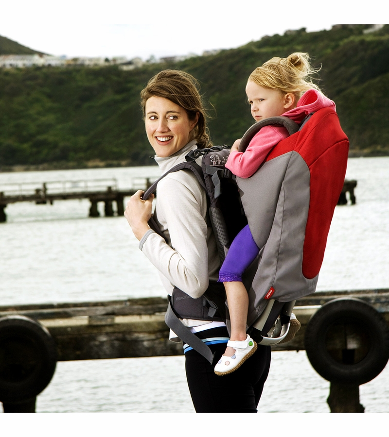 Phil & Teds Metro Baby Carrier Blue / Grey