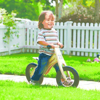 prince lionheart balance bike