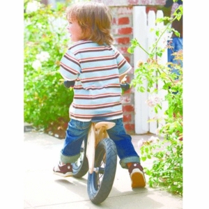 prince lionheart balance bike
