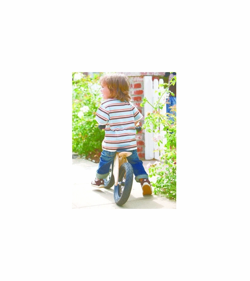 lionheart balance bike