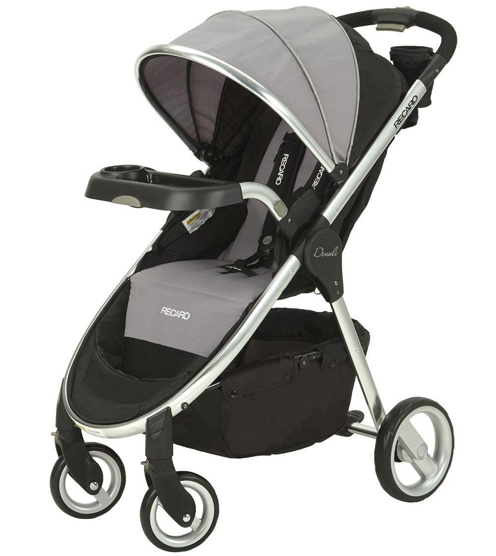 Recaro Denali Stroller Granite