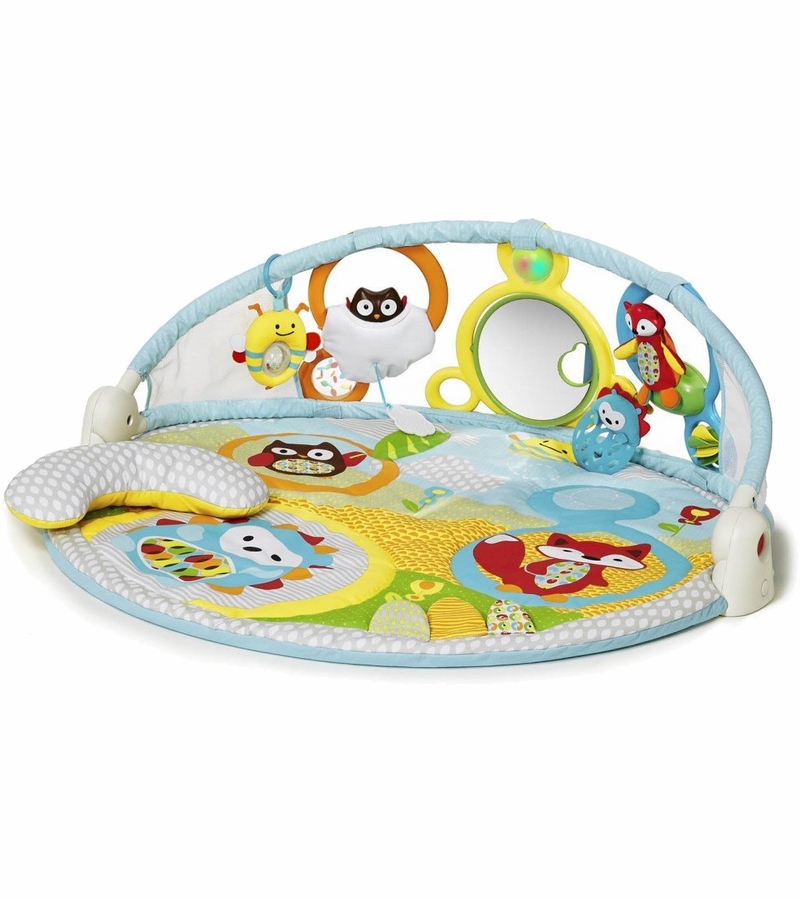 Skip Hop Explore & More Amazing Arch Activity Gym