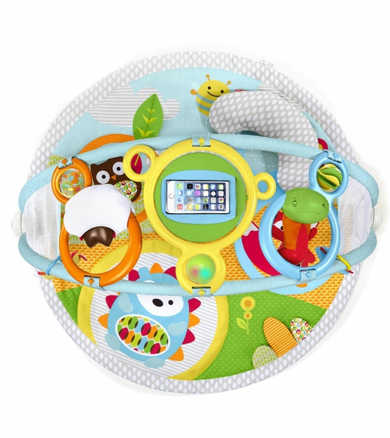 Skip Hop Explore & More Amazing Arch Activity Gym
