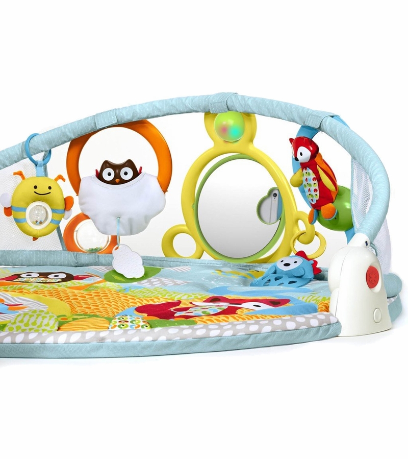 Skip Hop Explore & More Amazing Arch Activity Gym