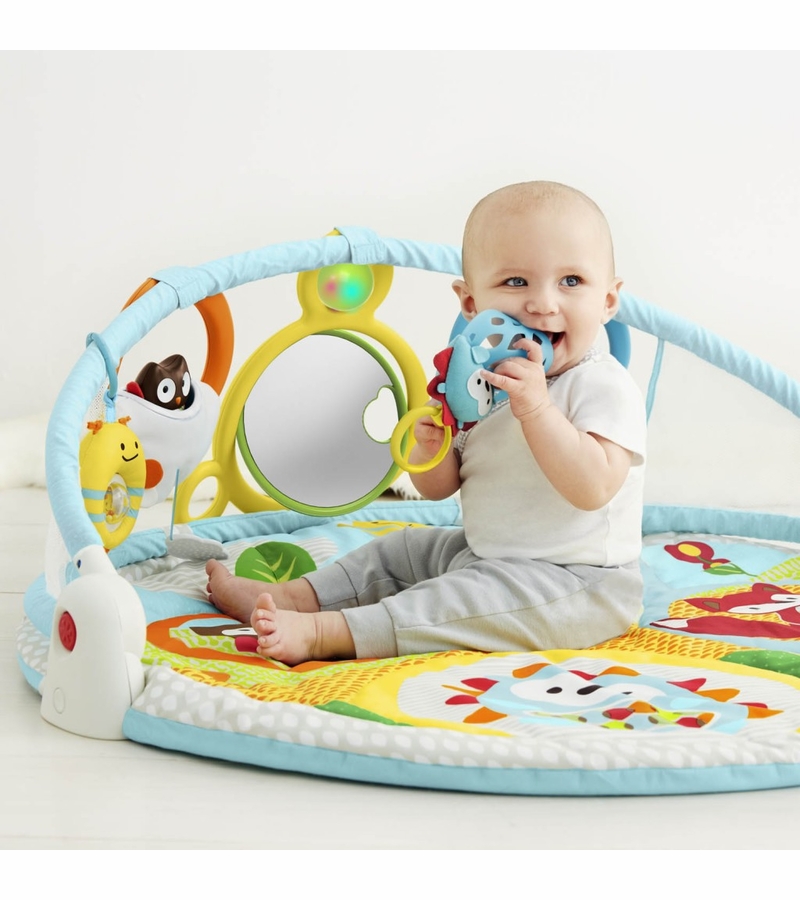 Skip Hop Explore & More Amazing Arch Activity Gym