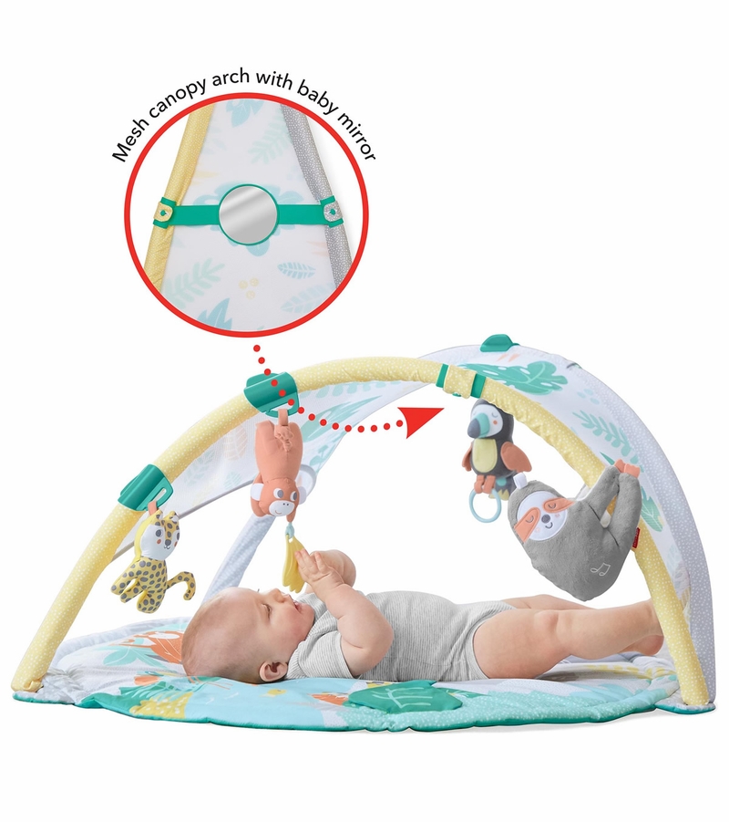 Skip Hop Tropical Paradise Activity Gym & Baby Soother