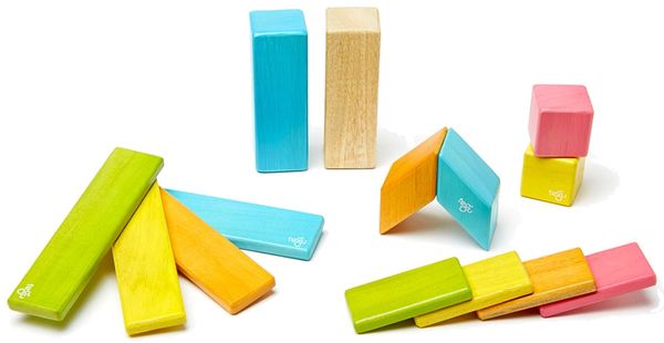 Tegu 14 Piece Magnetic Blocks Set - Tegu Tints