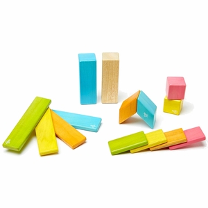 Tegu 14 Piece Magnetic Blocks Set - Tegu Tints