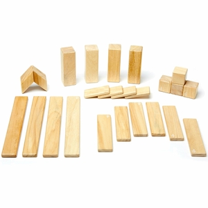 Tegu 24 Piece Magnetic Blocks Set - Natural