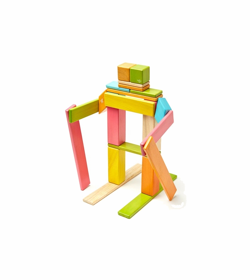 Tegu 24 Piece Blocks Set Tegu Tints