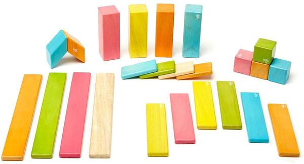 Tegu 24 Piece Magnetic Blocks Set - Tegu Tints