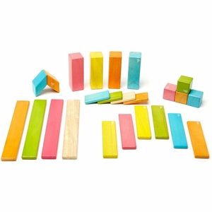 Tegu 24 Piece Magnetic Blocks Set - Tegu Tints