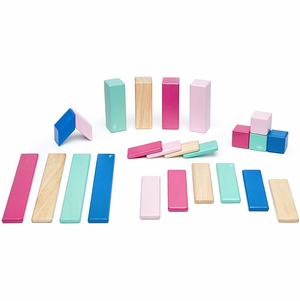 Tegu 24 Piece Magnetic Wooden Block Set - Blossom
