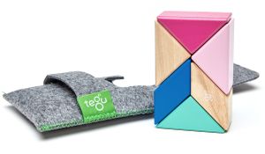 Tegu Pocket Pouch Prism 6 Piece Magnetic Blocks - Blossom