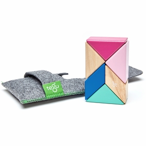 Tegu Pocket Pouch Prism 6 Piece Magnetic Blocks - Blossom