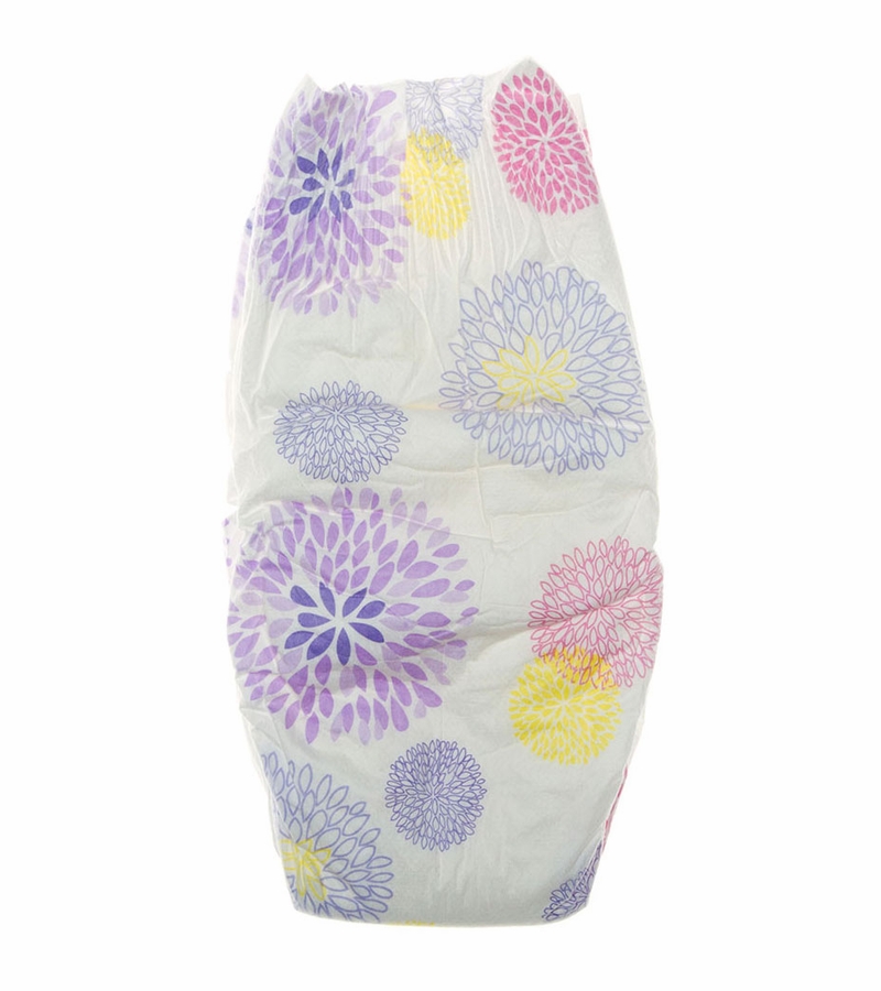 The Honest Company Diaper Pack in Bloom Size 4 (2237 lbs)
