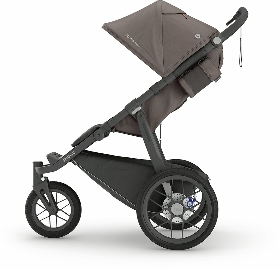 UPPAbaby Ridge Jogging Stroller + PiggyBack RideAlong Bundle Theo