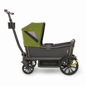 Veer Cruiser (2 Seater) Stroller Wagon + Canopy Bundle - Grey/Joshua Green