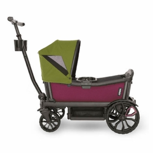 Veer Cruiser (2 Seater) Stroller Wagon + Canopy Bundle - Pink Agate/Joshua Green